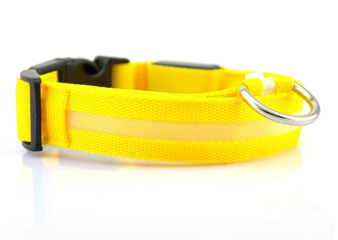 Safety Dog LED Collar - Image 10