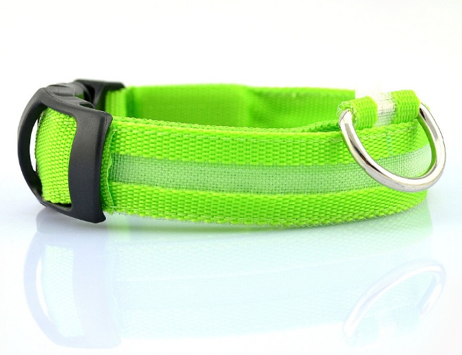Safety Dog LED Collar - Image 6