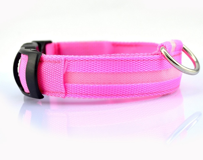 Safety Dog LED Collar - Image 9